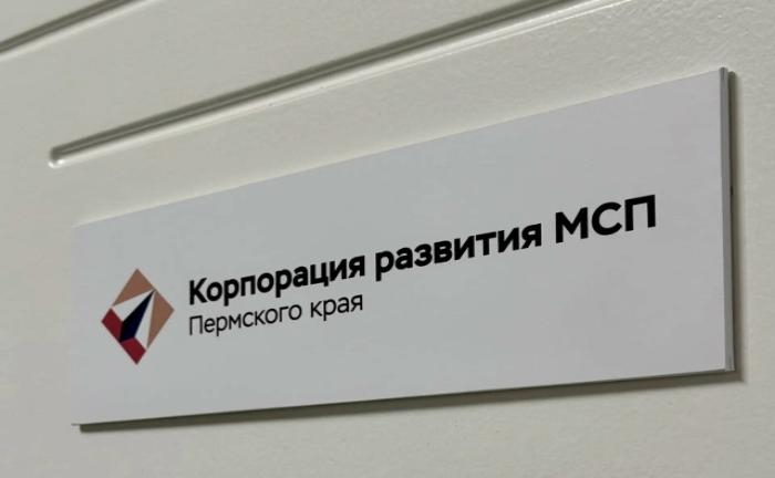 Корпорация развития МСП Пермского края вошла в ТОП-5 гарантийных организаций России по эффективности